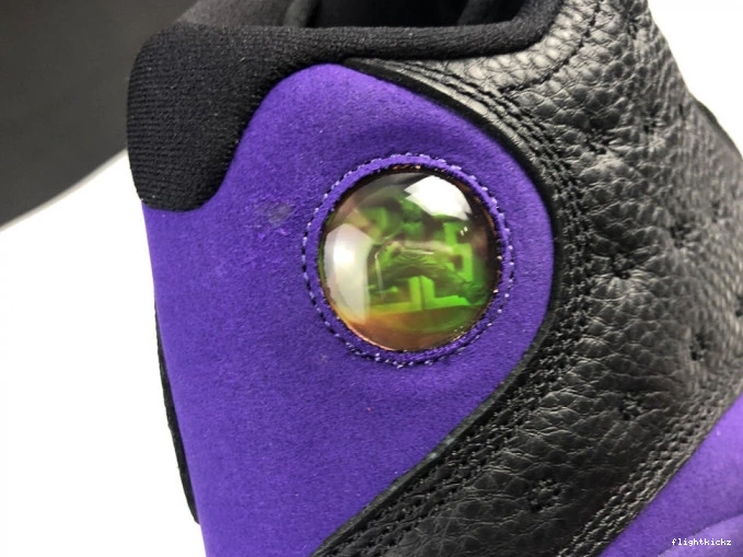 Purple Jordan Air Court DJ5982-015 13 1112